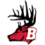 Bucktail logo