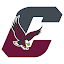 Chichester logo