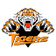 Beaver Falls logo