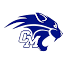 Central Mountain logo