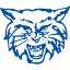 Dallastown logo