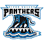 River Valley logo